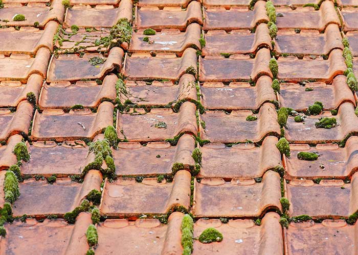 Repelente al agua para techos: errores a evitar