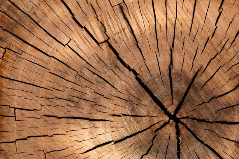 Cómo y por qué lijar la madera