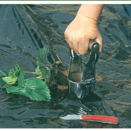 La ranura así realizada permite utilizar el escarbador de bulbos, que es más conveniente para plantar el cepellón.
