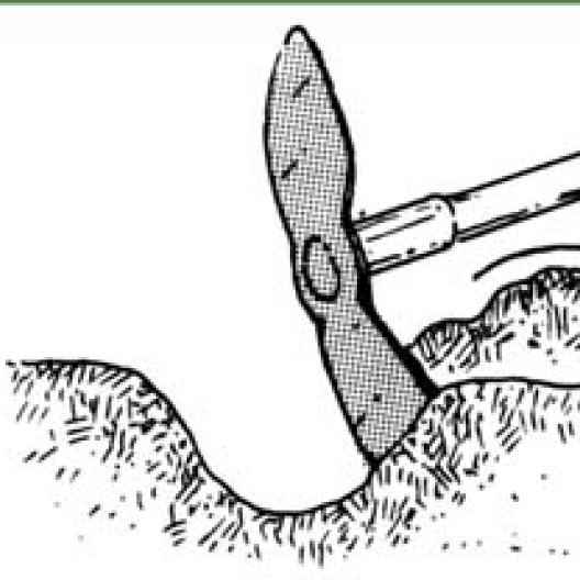 La siembra en bolsillos comienza con la excavación de un hoyo, con la punta de la serfouette.